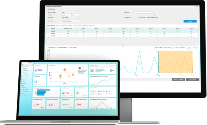 Captura SAP Business One