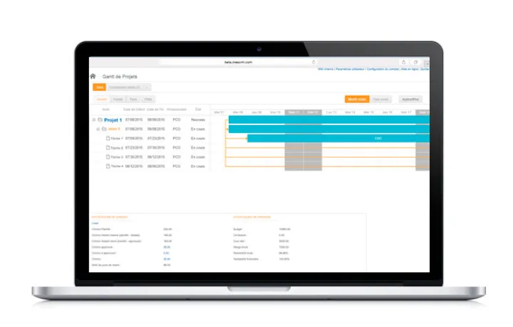 Captura INES CRM
