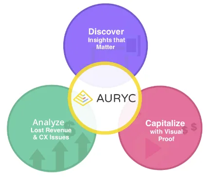 Auryc Software BI