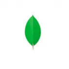 MongoDB Peru