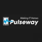 Pulseway Peru