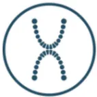 XDental Peru