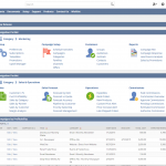 NetSuite CRM 1
