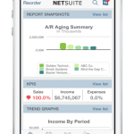 NetSuite ERP 2